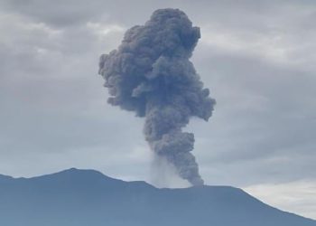 Gunung Marapi Kembali Erupsi Semburkan Abu Vulkanik 600 Meter – Aksara Lokal Gunung Marapi Kembali Erupsi, Semburkan Abu Vulkanik 600 Meter