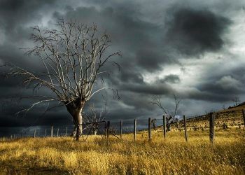 BMKG Bongkar Prediksi Akhir Cuaca Ekstrem Indonesia