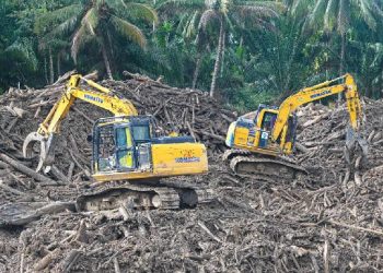 Kayu Sisa Banjir: Prabowo Izinkan Pemanfaatan, Ini Aturannya