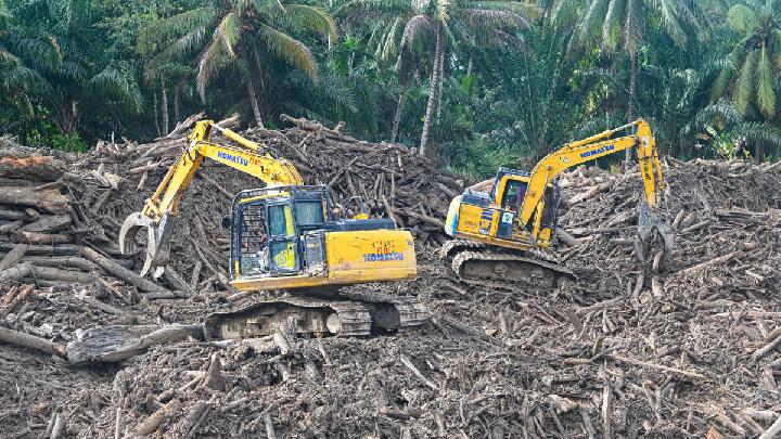 Kayu Sisa Banjir Prabowo Izinkan Pemanfaatan Ini Aturannya – Aksara Lokal Kayu Sisa Banjir: Prabowo Izinkan Pemanfaatan, Ini Aturannya