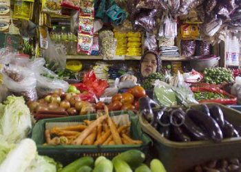 Harga Telur dan Minyak Goreng Naik Cabai-Bawang Justru Turun – Aksara Lokal Harga Telur dan Minyak Goreng Naik, Cabai-Bawang Justru Turun