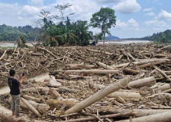 Walhi Bongkar Kejanggalan di Balik Pencabutan Izin Usaha Aceh