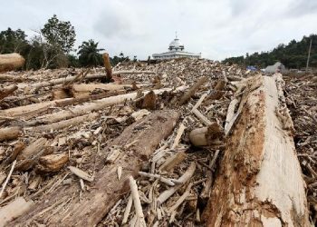 Pencabutan Izin Meluas: Makin Banyak Perusahaan Terancam!