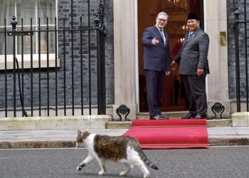 Larry the Cat Bikin Prabowo Salah Fokus di Downing Street