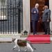 Larry the Cat Bikin Prabowo Salah Fokus di Downing Street