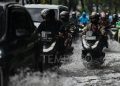Detik-detik Tragis Pengemudi Mobil Tewas Terjebak Banjir