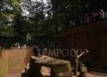 Pilu! Satwa Bandung Zoo Stres Akut, Mendesak Bantuan Dana.