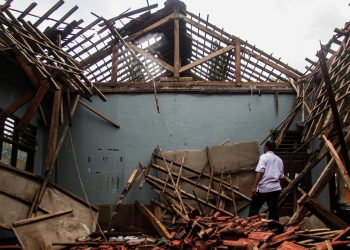 Puluhan ribu pegawai SPPG akan diangkat jadi ASN, bagaimana nasib guru honorer yang tak punya kepastian kerja? ‘Melukai rasa keadilan’