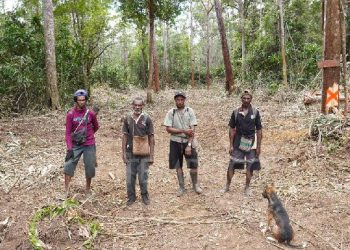 TNI Buka Suara Soal Dugaan Intimidasi Tanah Adat Marga Kwipalo
