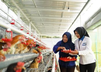 PNM Setahun Wujudkan Gizi Optimal dan Ketahanan Pangan