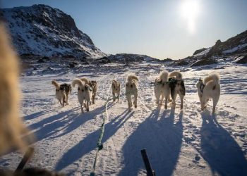 Ultimatum Trump: Tarif 10% Hantam Ekonomi Sekutu Eropa