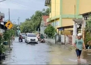 13 Wilayah Batang Diterjang Banjir dan Longsor, Ribuan KK Terdampak