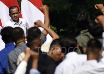 Pemerintah Daerah Usulkan 60 Kawasan Transmigrasi Baru, Peluang Emas!