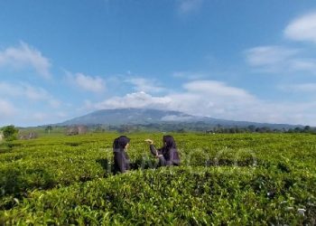 Wisata Kesehatan Sumsel: Peluncuran Tahun Ini Bikin Penasaran!