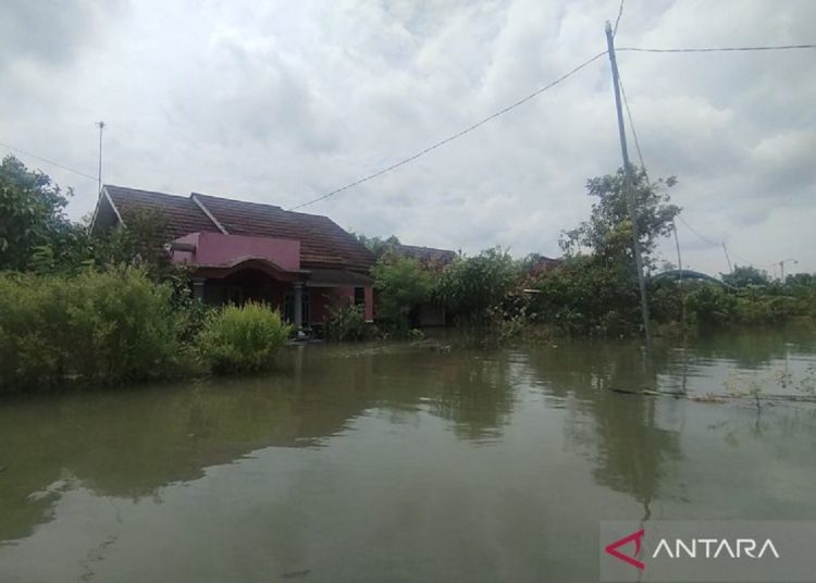 Pati Banjir Surut, Desa Terdampak Berkurang Drastis