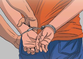 Monyet Disiksa: Polisi NTT Ungkap Jaringan Sadis