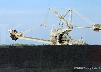 BUMI Anjlok! Transaksi Triliunan, Saham Justru Terjun Bebas