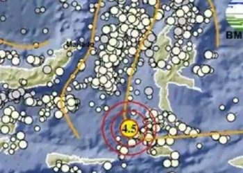 Maluku Utara Diguncang Gempa Terkini! Cek Info BMKG
