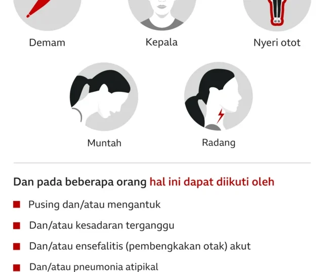 Waspada Kematian Pertama Nipah Terkonfirmasi di Bangladesh – Aksara Lokal Waspada! Kematian Pertama Nipah Terkonfirmasi di Bangladesh