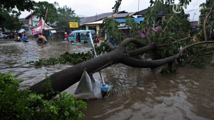 Pohon Tumbang Banjir Landa Metro Akibat Hujan Badai – Aksara Lokal Pohon Tumbang, Banjir Landa Metro Akibat Hujan Badai