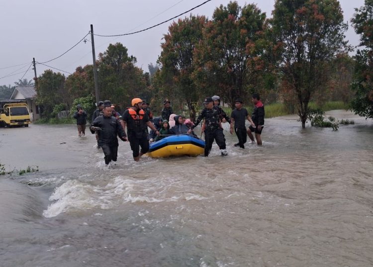 Banjir Jember Meluas: 7.445 Rumah Tenggelam!