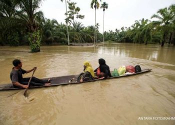 Prakiraan Cuaca Bali Besok: Kintamani Siaga Hujan Lebat