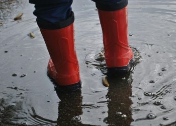 Banjir Ciliwung Rendam 11 RT Jakarta Warga Terjebak – Aksara Lokal Banjir Ciliwung Rendam 11 RT Jakarta, Warga Terjebak