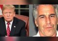Ogah Bersaksi, Pacar Epstein Malah Minta Pengampunan Donald Trump
