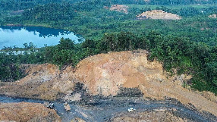 Deforestasi Picu Wabah Penyakit Ancaman Nyata – Aksara Lokal Deforestasi Picu Wabah Penyakit: Ancaman Nyata!