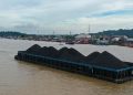 Batu Bara & Energi Baru: Revisi Produksi Wajib Transisi