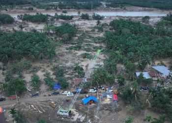 Walhi Pencabutan Izin Sumatra Waspada Modus Ganti Konsesi – Aksara Lokal Walhi: Pencabutan Izin Sumatra, Waspada Modus Ganti Konsesi!