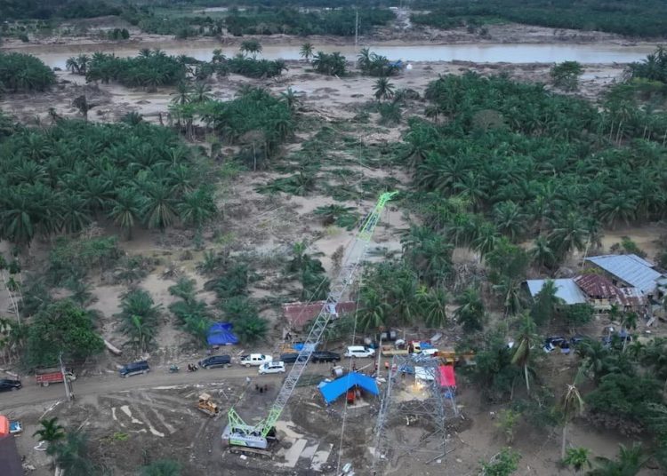 Walhi: Pencabutan Izin Sumatra, Waspada Modus Ganti Konsesi!