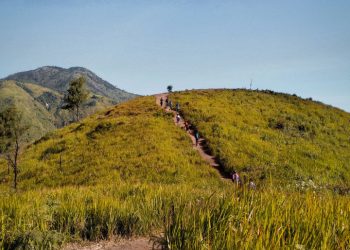 Pendaki Hilang 9 Hari: Misteri Bukit Mongkrang Terungkap?