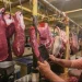 Daging Sapi Rp150 Ribu Ini Jurus Pemprov DKI Stabilkan Harga – Aksara Lokal Daging Sapi Rp150 Ribu, Ini Jurus Pemprov DKI Stabilkan Harga