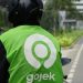 Bonus Idul Fitri Gojek: Driver Ojol Siap Cuan Besar!