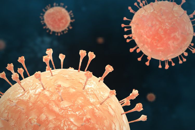 Pakar Ungkap Bahaya Virus Nipah Ancaman Senyap dengan Fatalitas Tinggi – Aksara Lokal Pakar Ungkap Bahaya Virus Nipah, Ancaman Senyap dengan Fatalitas Tinggi