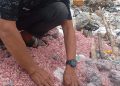 Bekasi Geger! Karungan Cacahan Uang Rp 50-100 Ribu Jadi Sampah