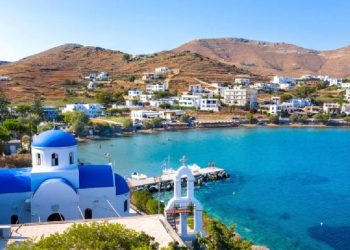 Pulau Impian Pecinta Kucing: Akomodasi Gratis Menanti!