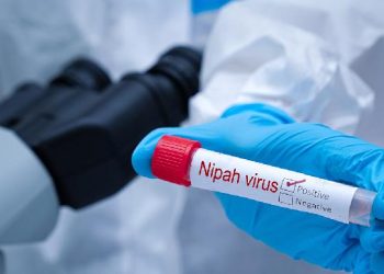 Nipah Merenggut Nyawa di Bangladesh: Waspada Gejala!