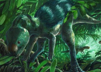 Spanyol Geger! Dinosaurus Mini Seukuran Ayam Ditemukan