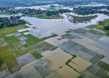 554 Ribu Hektare Sawah Hilang Nusron Lapor Prabowo – Aksara Lokal 554 Ribu Hektare Sawah Hilang! Nusron Lapor Prabowo