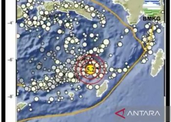 Gempa Maluku Tenggara 5,2 SR: Guncangan Dahsyat, Tanpa Tsunami