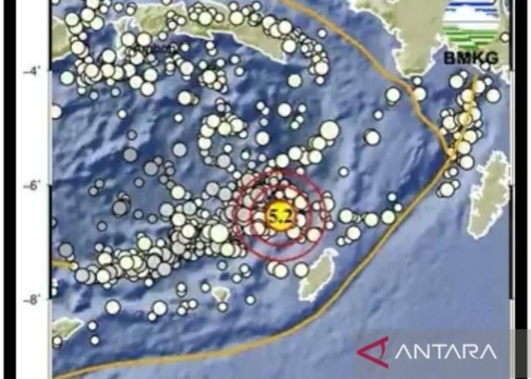 Gempa Maluku Tenggara 5,2 SR: Guncangan Dahsyat, Tanpa Tsunami
