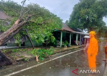Badai Makassar: 19 Rumah Hancur, Warga Mengungsi