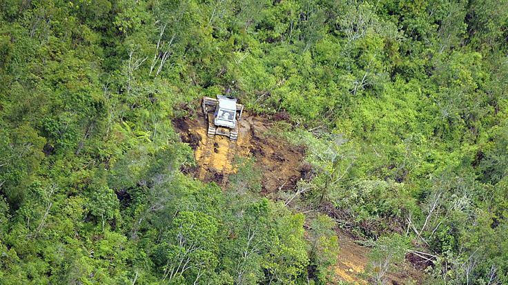 Prabowo Tanah Terlantar Disita Negara Ini Alasannya – Aksara Lokal Prabowo: Tanah Terlantar Disita Negara, Ini Alasannya!