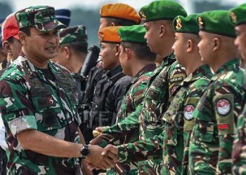 DPR minta TNI tak kerahkan banyak prajurit ke Gaza