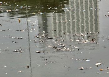 Terkuak! Bahaya Pencemaran Cisadane Akibat Kebakaran Kimia