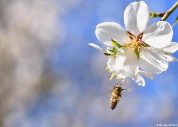 Bisnis Global Rusak Alam Kemakmuran Dunia Terancam Merosot Tajam – Aksara Lokal Bisnis Global Rusak Alam, Kemakmuran Dunia Terancam Merosot Tajam