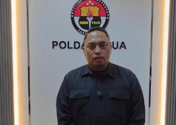 Pesawat Smart Air Ditembak di Papua, Pilot Tewas Tragis