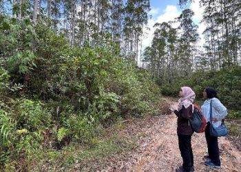 ITB Kelola 129 Hektare Rimba Kota Hijau di IKN Nusantara